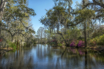 A blue sky and pretty pond surrounded by trees dripping with Spanish moss commonly found in Charleston, South Carolina and the area known as the lowcountry