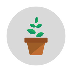 Plants Icon Flat Graphic Design