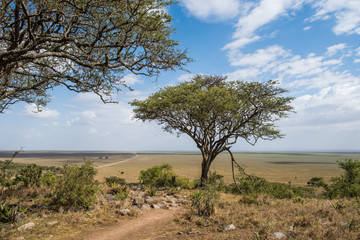 Endless plains of Serengeti National Park, Tanzania