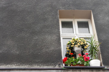 Fototapeta na wymiar Window with decorative flower pots against gray stone wall. Italian house exterior. Europe travel concept. Outdoor decor. 
