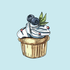 vector cupcake muffins on pastel background.