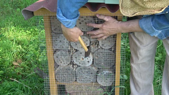 Fixing metal net on insect hotel for protection from woodpeckers