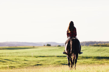 Young girl sitting on a bay horse, riding on the field.