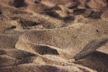 Fototapeta na wymiar golden sand dunes. macro effect on the beach