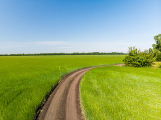 Fototapeta na wymiar view from above on field with a road in Russia