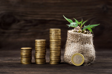 Plant growing in coins bag for money