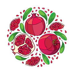 Vector round bunch with outline Pomegranate half and whole red fruit, ornate green leaf and seed isolated on white background. Drawing of ripe Pomegranate in contour style for exotic summer design.
