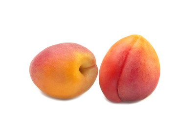 two sweet fruits of ripe juicy colorful apricots