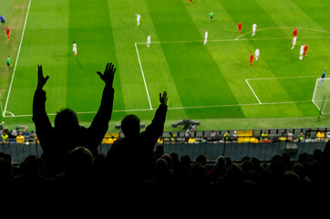furious soccer spectators or supporters making disagreement gestures in the tribune of football...