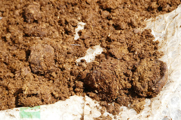 organic manure, cow manure.

