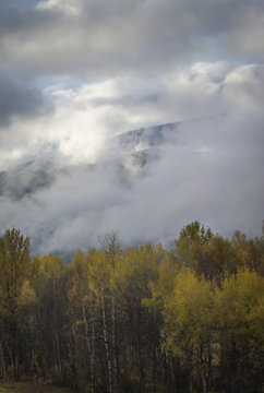 Thick clouds covering hills and autumn forest