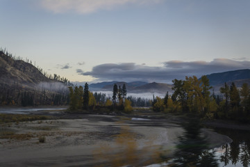 Dawn look at forest in British Columbia, Canada