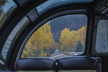 View from train outside to autumn forest