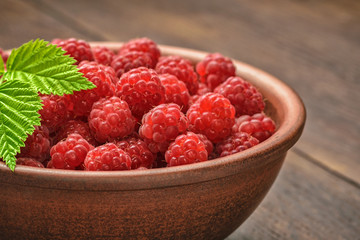 Beautiful berries of a garden of a red raspberry, green leaves of a crimson branch