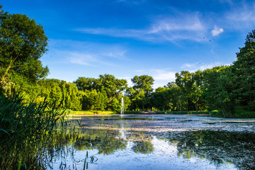 Park Solankowy w Inowrocławiu, Polska © Senatorek