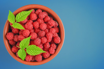 Top view of a brown bowl with fresh red raspberries. Blue background, space for text