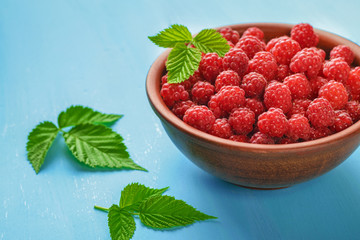 The harvest of red raspberries, the concept of healthy food, vitamin C.