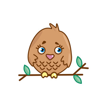 little owl sits on a branch