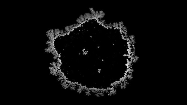 Drop drying with crystals growth. Sodium chloride. Time lapse of crystallization process under microscope. Separated on pure black background, contains alpha channel.