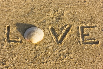Fototapeta na wymiar Love word written on the sand at sunset with letter O made with a big sea shell. Ideal expression for Valentine's Day