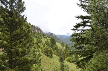 Foggy Mountain View