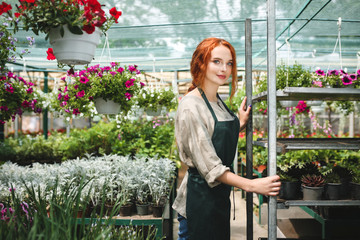 Young pretty florist in apron standing around beautiful flowers and dreamily looking in camera while working in big greenhouse