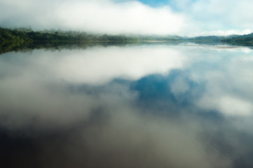  Reflections of the forest on the lake