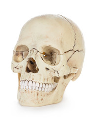 Human skull isolated on white background with clipping path.