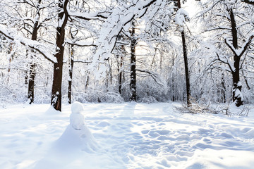 Fototapeta premium snowman on snow-covered meadow in oak grove