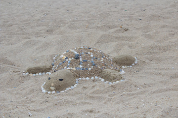 turtle sandy on the beach © retbool