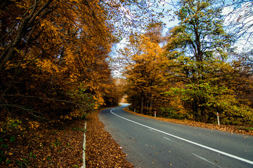 Naklejka premium georgian nature