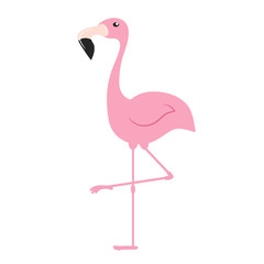 Pink flamingo. Exotic tropical bird. Zoo animal collection. Cute cartoon character. Decoration element. Flat design.