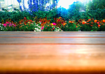 Low angled garden flowers bokeh background