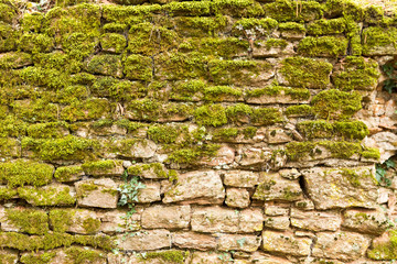 Walk over old mining area