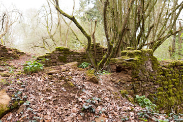 Walk over old mining area