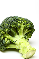 Close up view of broccoli isolated on a white background