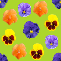 Green seamless pattern of  yellow, blue, violet and orange Pansy