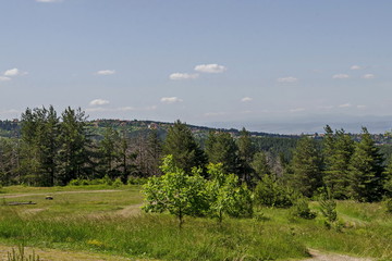 Obraz premium View of springtime glade, forest and residential district of bulgarian village, Vitosha mountain, Bulgaria 