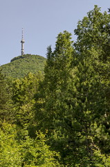 Fototapeta premium Landscape on the part of Vitosha mountain with television tower on a hill, close to Sofia, Bulgaria, Europe 