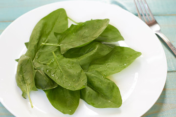  Spinach on a white plate.