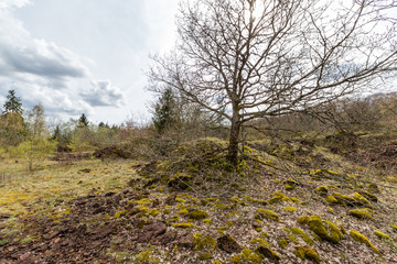 Walk over old mining area