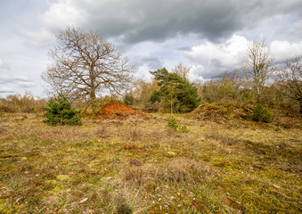 Walk over old mining area