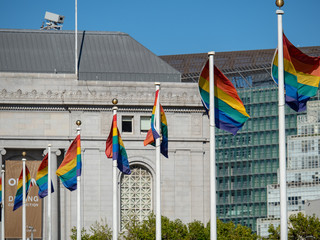 Row of lgbt rainbow flags waving on a cloudless day in front of buildings