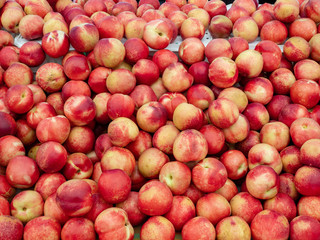 Bright ripe peaches on stand for sale at an outdoor market