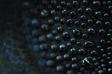 experiments with glycerin and water