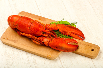 Lobster