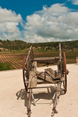 Fototapeta na wymiar Front view, close up of a vintage, wood horse drawn cart on a gravel area with mature grape vineyard in the background on a sunny, summer day in the southeast region of wine country in Spain