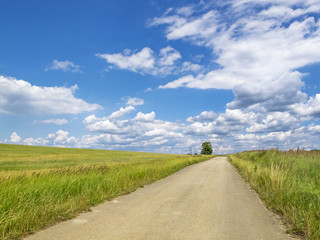 Asphalt country road vanishes to the right in covered with clouds sky