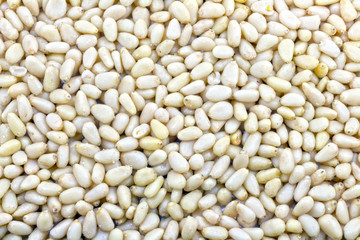 Pine nuts background. Close up detaled macro photography of expanded heap of beige even shelled nuts