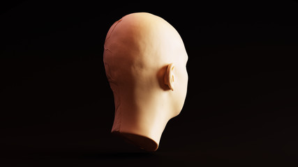 White Chocolate Clay Anatomical Ecorche Human Head